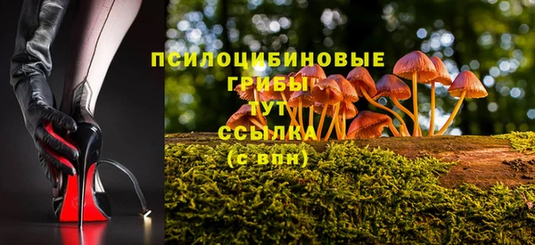 PSILOCYBIN Слюдянка