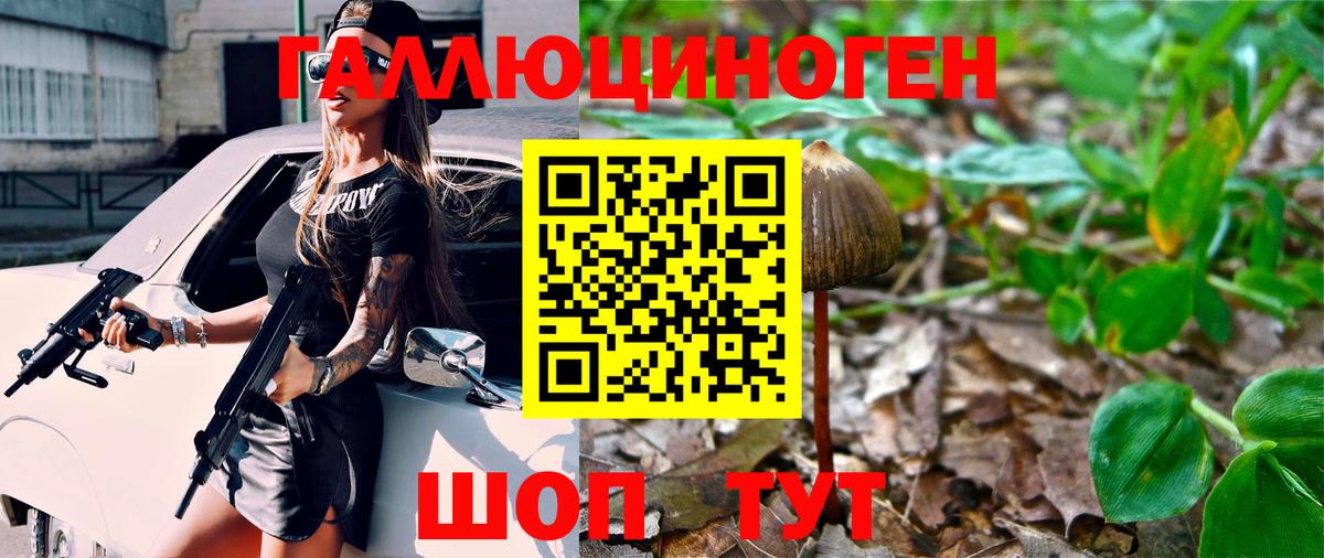 Псилоцибиновые грибы Psilocybine cubensis Чистополь